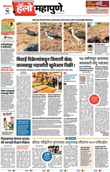 Lokmat Marathi ePaper daily